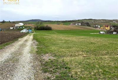 Teren extravilan zona lac Sigmir utilitati - 3