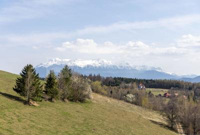Teren Construcții intravilan de 3791 mp, în Poiana Mărului - 10
