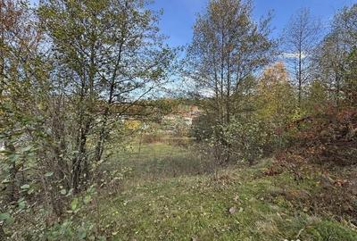 Teren de 13167 mp, în Bughea de Sus - 13