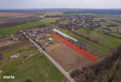 Spațiu comercial, în Balta Neagră - 4