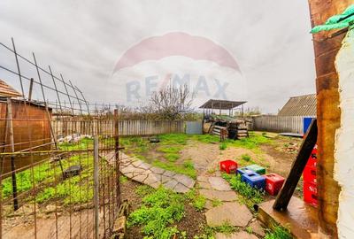 Casă /Macea/ARAD - 14