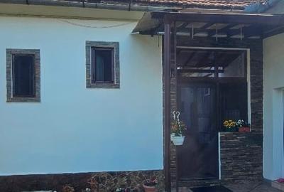 Apartament cu 2 camere nedecomandat în Grădiște