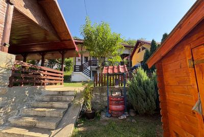 Casa batraneasca renovata Baile Olanesti, Valcea, sat Cheia - 8