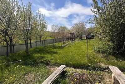 Casă cu 3 camere cu Teren 13000 Mp în Central - 9