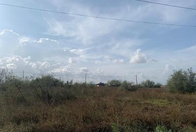 Teren de 2100 mp, în Sud