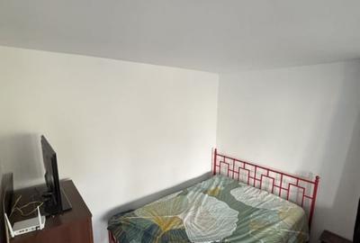 Apartament 2 camere 45mp, etaj intermediar, zona USAMV - 3