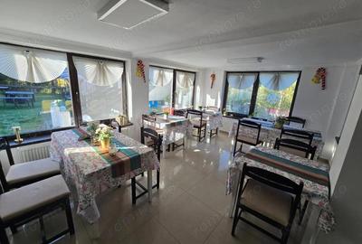 Pensiune la Cheia, moderna, functionala in totalitate, vedere mirifica (chirie) - 32