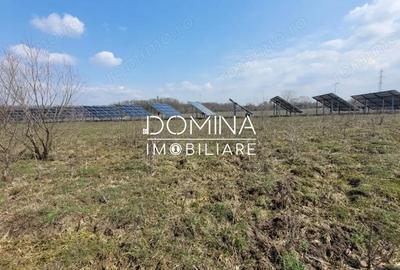 Teren de 978 mp, în Drăguțești - 4