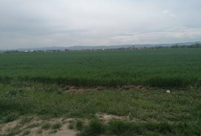 Vand teren, 1500 metri patrati, in intravilanul orasului Bacau