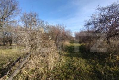 Teren extravilan, 20 ari, livada pomi fructiferi, zona Subce - 2