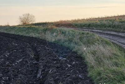 Teren de 30077 mp, în Stroiești - 15