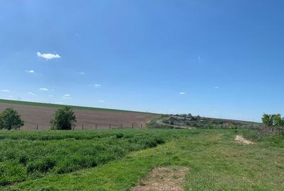 Fermă de vânzare în com. Deleni - DN3 - 10.680 mp - 84 m deschidere - 34