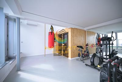 Penthouse cu 5 camere decomandat, mobilat în Mihai Bravu - 8