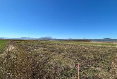 Teren Intravilan Cristian Teren Intravilan Cristian - 6