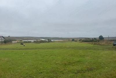 Vanzare 10.000 mp teren Liteni Suceava- la strada -potrivit proiect fonduri - 10