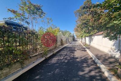 Loturi 500mp Strada Nuferilor-Petrom City - 7