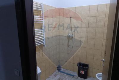 DE VANZARE Spatiu comercial GAISENI/GIURGIU RANDAMENT 17% - 6