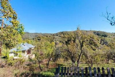 Teren cu priveli?te superba , livada ?i poten?ial casu? - 17