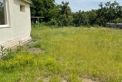 Casa 5 camere Sannicolau Mic - 22