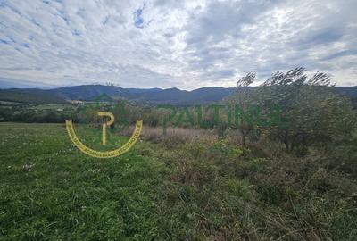 Teren de vanzare ,Tocile, Sibiu, case de vacanta si locuinte - 10