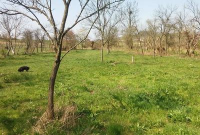 Teren de 2219 mp, în Lăpugiu de Jos - 2
