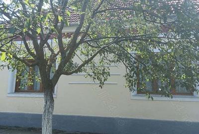 Casa de vanzare in Alio? jude?ul Timi? - 1
