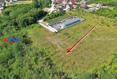 AZURA Imobiliare - Vanzare teren Smeura, zona verde - 3