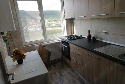 Teren de 55 mp, în Zimbru - 6