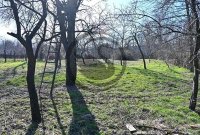 Casă individuală cu 3 camere cu Canalizare în Filipeștii de Pădure - 23