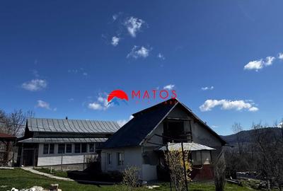 Casă cu 3 camere cu Teren 3025 Mp în Ghioșești - 11