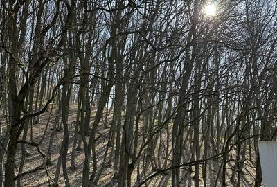 Casă cu 7 camere cu Teren 420 Mp în Corunca - 3