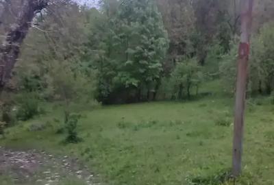 Teren intravilan de 1241 mp, în Provița de Sus - 5