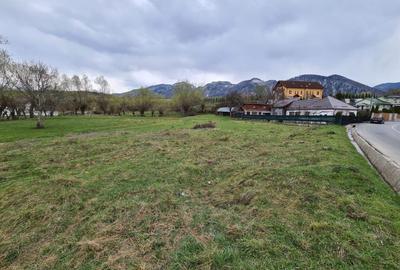 Teren Intravilan Tohanita - 3