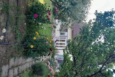 Casă cu 4 camere în Dobreni - 4