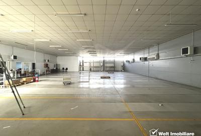 Spațiu industrial, de 786 mp, în Grigorescu - 6
