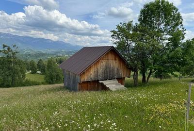 Teren inconjurat de natura de vanzare in Pestera - 9