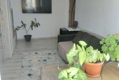 Apartament cu 2 camere semidecomandat în Craiovița Nouă - 4