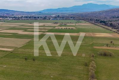 Teren agricol intravilan de 1570 mp, în Zărnești - 3