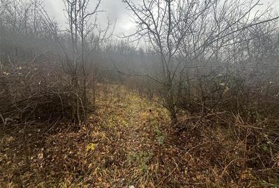 Teren intravilan 653 mp in Boldesti-Scaeni. - 10