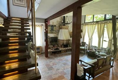 Vila de poveste 5 camere zona Bolintin Vale, judetul Giurgiu - 19