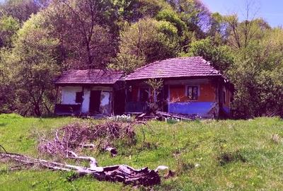 Teren Construcții intravilan de 7.7950000762939 mp, în Golești - 3