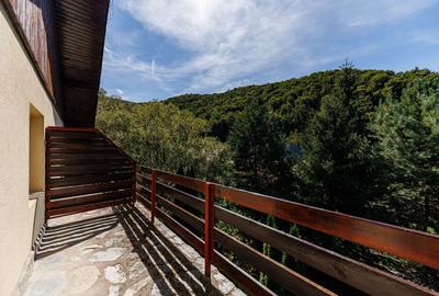 Hotel/Pensiune, de 35.294101715088 mp, în Poiana Mărului - 19