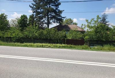 Teren de 2700 mp, în Dobrești - 3