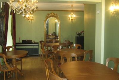 Vila renovata - zona Cismigiu - 3