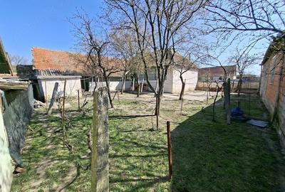 Casă cu Teren 1681 Mp în Birda - 8