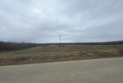 Teren de 16760 mp, în Periferie - 4