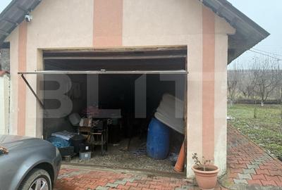 Casa individuala cu 2 camere, 160 mp utili, teren 3800 mp, Bistrita - 9