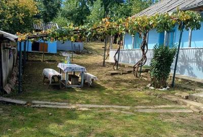 Casă cu 4 camere în Central - 5