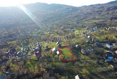 Teren de vanzare in comuna Arefu, jude? Arge?, in apropiere de Transfagara?an. - 4