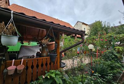 OCAZIE: Casa + 2 garsoniere în P-ta. Cluj, S+P+M, Curte, pivnita |VIDEO - 34